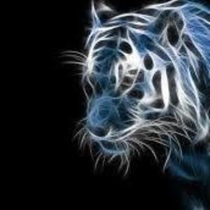 Meet your Posher, Ismael